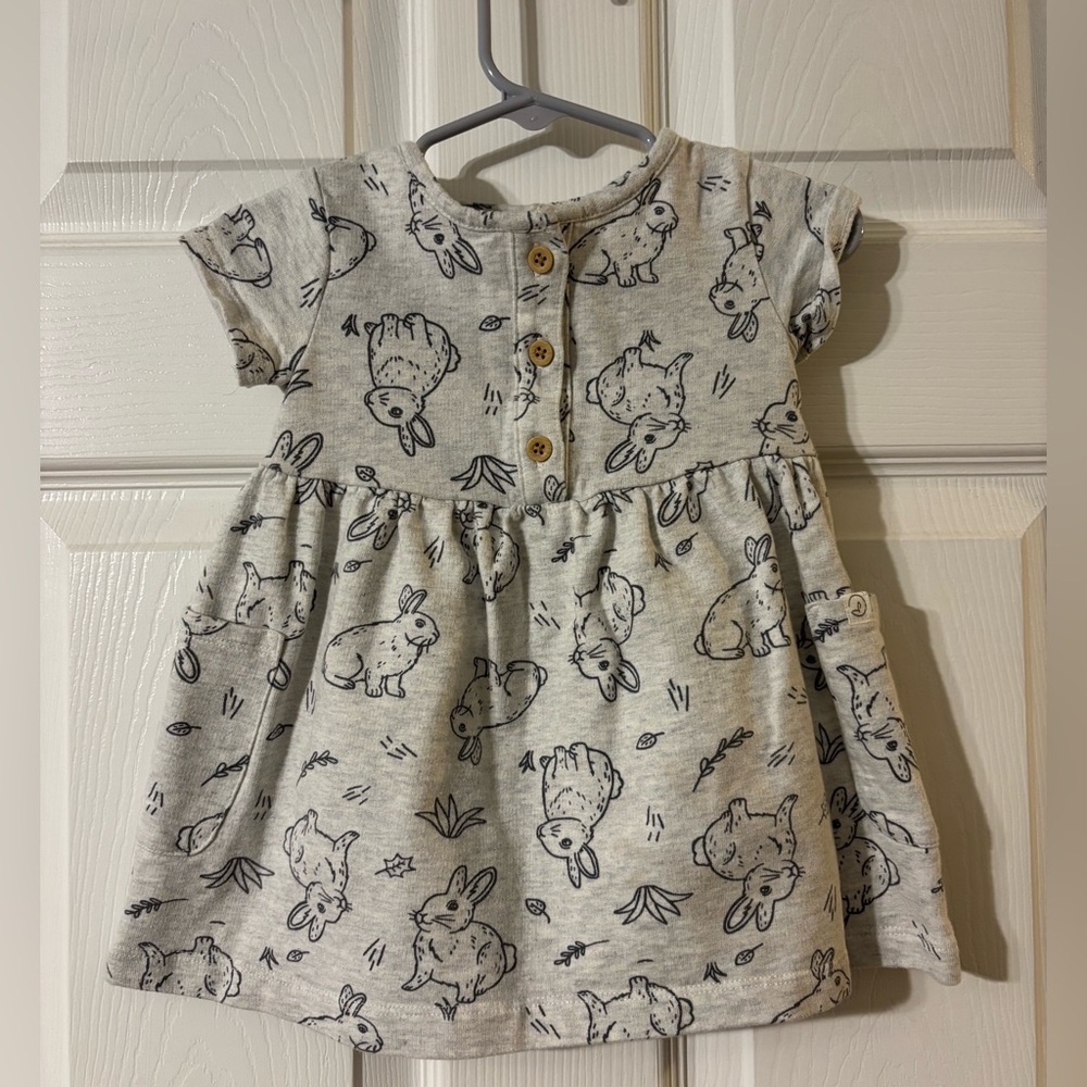 Little Planet by Carter’s Organic Cotton Bunny Print Dress | Size 12M